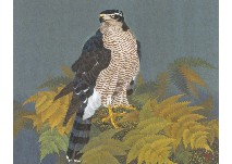 Autumn by Tetsuo Tsukahara - Auction record, sale price, and art valuation. Compare with similar artists and explore comparable artworks.