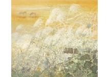 Autumn Shadow