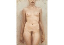 Woman Torso