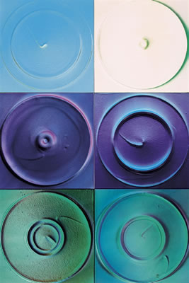 8 (Infinity) - 6 Pieces by Yuko Nasaka - Auction record, sale price, and art valuation. Compare with similar artists and explore comparable artworks.