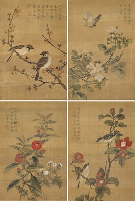 Flower, Bird and Insect