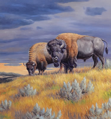 Prairie Thunder