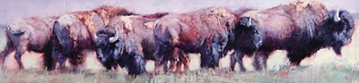 Bison in a Queue