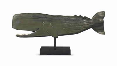 Toothed Whale