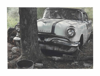 Pontiac with Tree Trunk