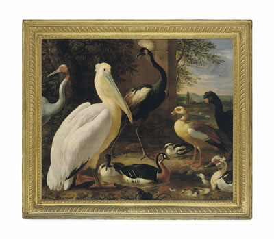 A pelican, a crowned crane, a curassow, a sarus crane and ducks in a river landscape