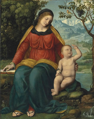 Madonna of the Grapevine by Bernardino (de Scapis) Luini - Auction record, sale price, and art valuation. Compare with similar artists and explore comparable artworks.