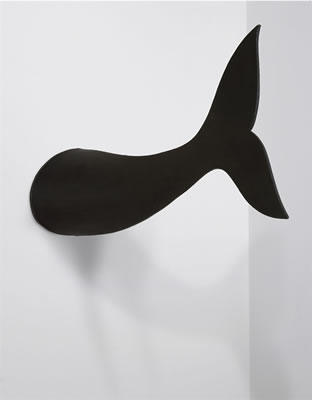Coda di delfino (Tail of a Dolphin)