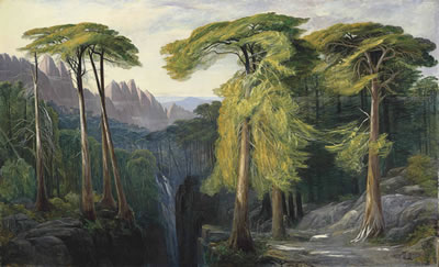 The Forest of Bavella