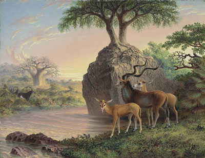 Koodoos, Luisi River, Zambesi Valley by Thomas Baines - Auction record, sale price, and art valuation. Compare with similar artists and explore comparable artworks.