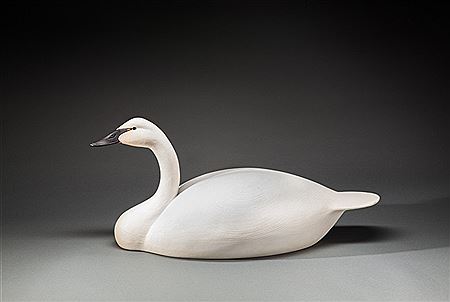 Swan