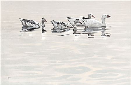 Family of Snows