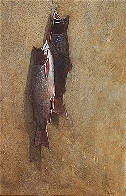 Labrador Fish