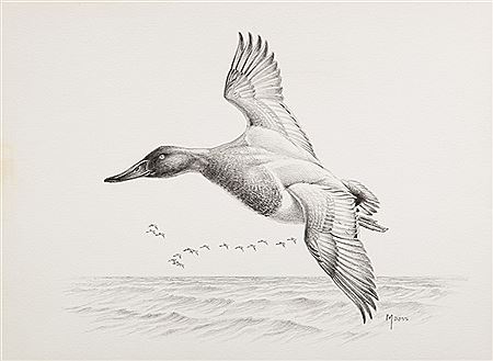 Goose; Canvasback; Pheasant (3)