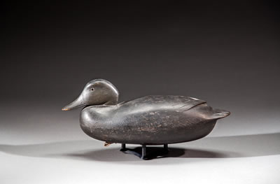 Black Duck