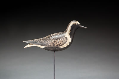 The McCleery-Holmes Plover