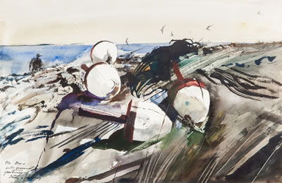 Terns on Little Green Island, 1940