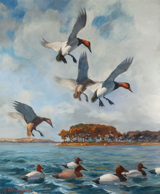 Back Bay - In Currituck Sound, 1939