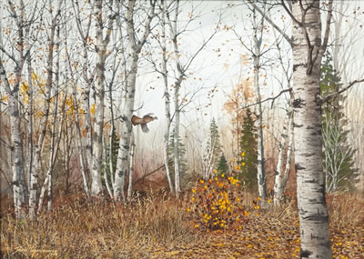 Pine Country - Ruffed Grouse, 1998
