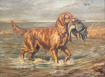 Golden Retriever in Action