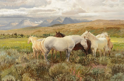 The Cold Wind
