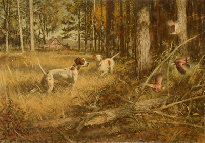 Windfall