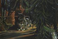 Jardin d'hiver, chat