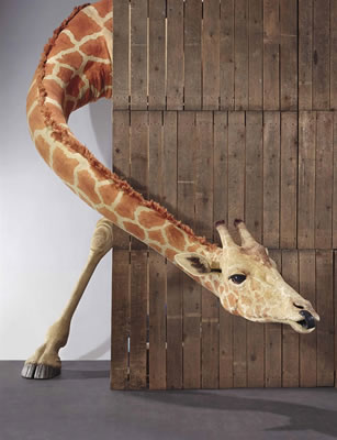 Sans titre by Jean-Francois Fourtou - Auction record, sale price, and art valuation. Compare with similar artists and explore comparable artworks.