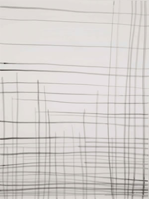 Linien 31