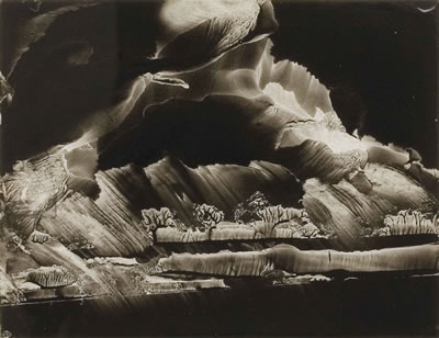 SN39 by Roland Flexner - Auction record, sale price, and art valuation. Compare with similar artists and explore comparable artworks.