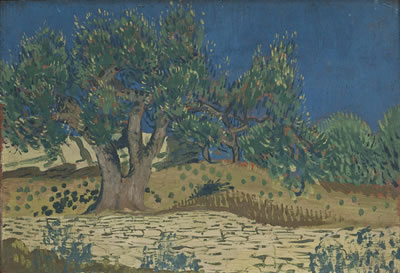 Olive Tree