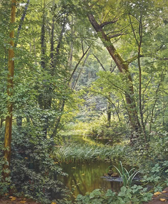 The woodland pool