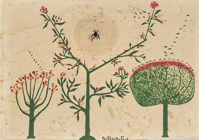Spider Web