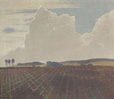 Field and thunderhead