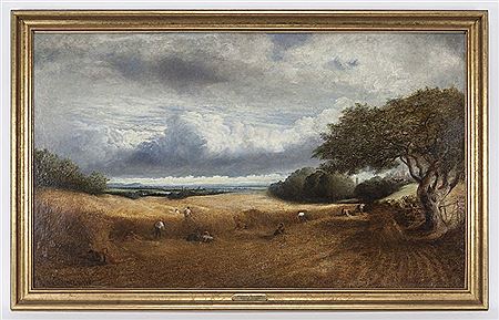 Wheat Harvest