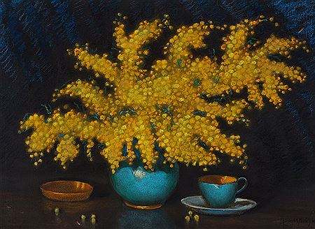Mimosa