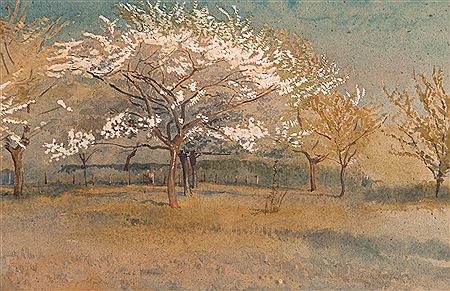 Trees at Knotty Green
