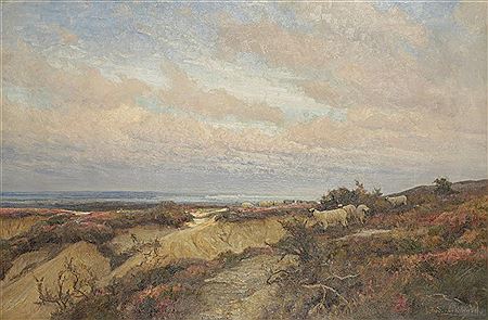 Sheep in a heathland landscape with the sea beyond