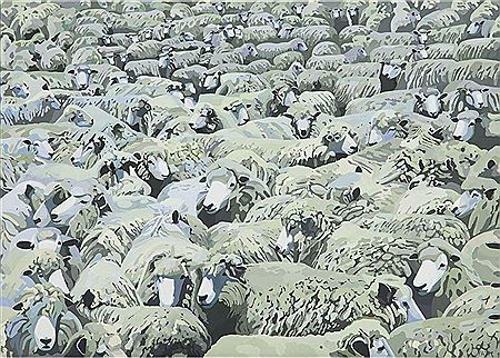 The sheeps