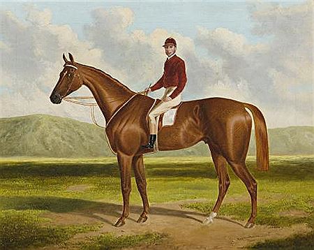 FALCON: WINNER OF THE 1864 ADELAIDE CUP, 1865