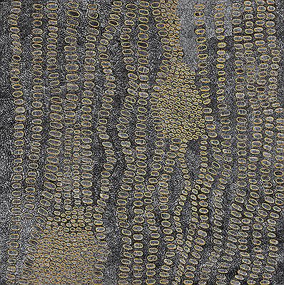 SWAMPS NEAR OF NYRRIPI, (MY FATHER'S COUNTRY), 2007 by Ngoia Pollard Napaltjarri - Auction record, sale price, and art valuation. Compare with similar artists and explore comparable artworks.