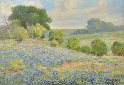Bluebonnet Landscape