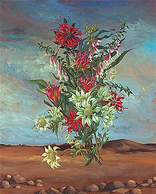 Spider Flower, Epacris, Lambertia and Flannel Flowers 1972