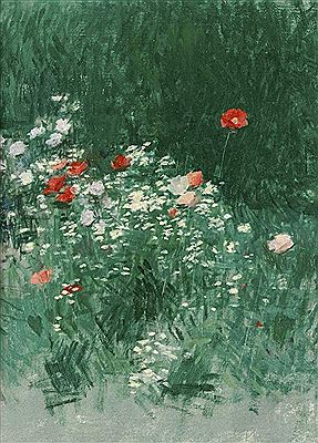Wiese mit Mohnblumen