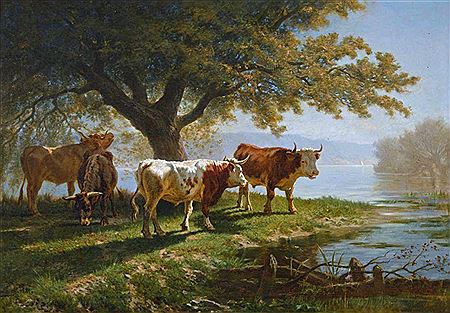 Kuhherde am besonnten Ufer des Genfersees