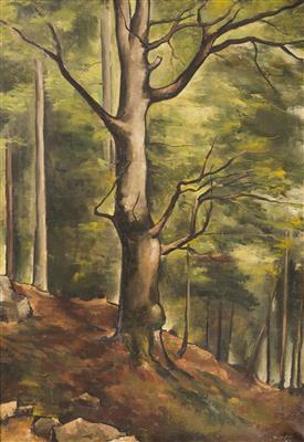 Beech by Josef Hubacek - Auction record, sale price, and art valuation. Compare with similar artists and explore comparable artworks.