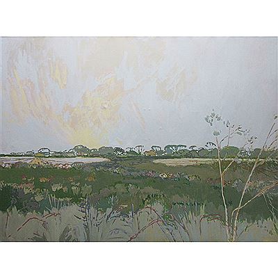 Sag Meadow