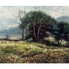 Paisaje al atardecer