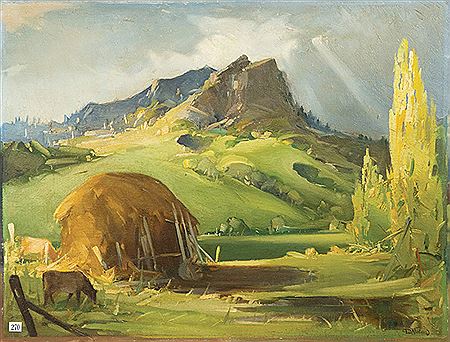 Wairarapa Landscape
