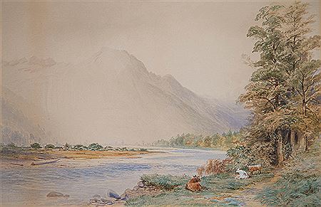 On the Taramakau Road